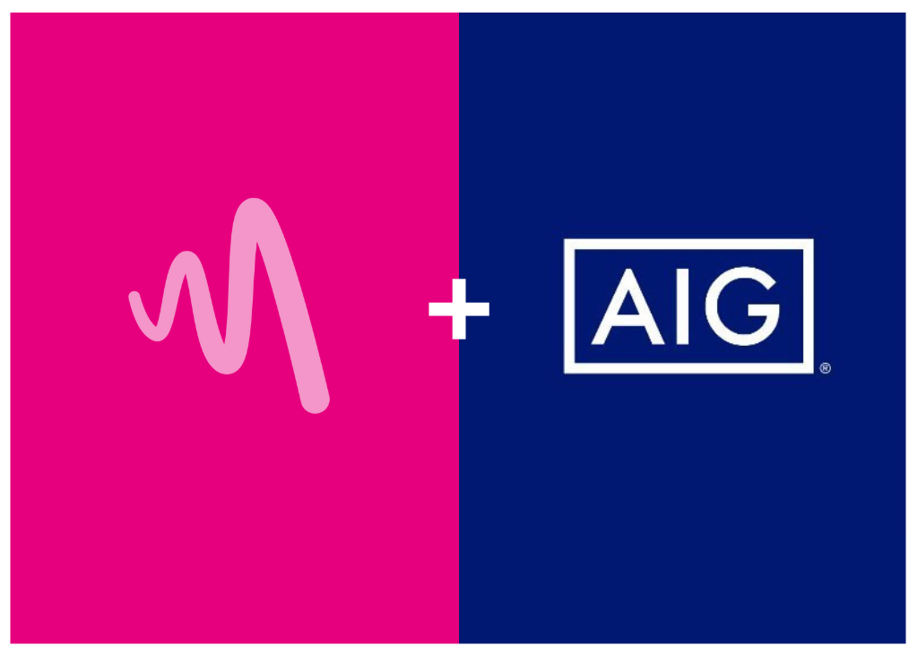 AIG Partnership